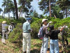 作業を行う様子