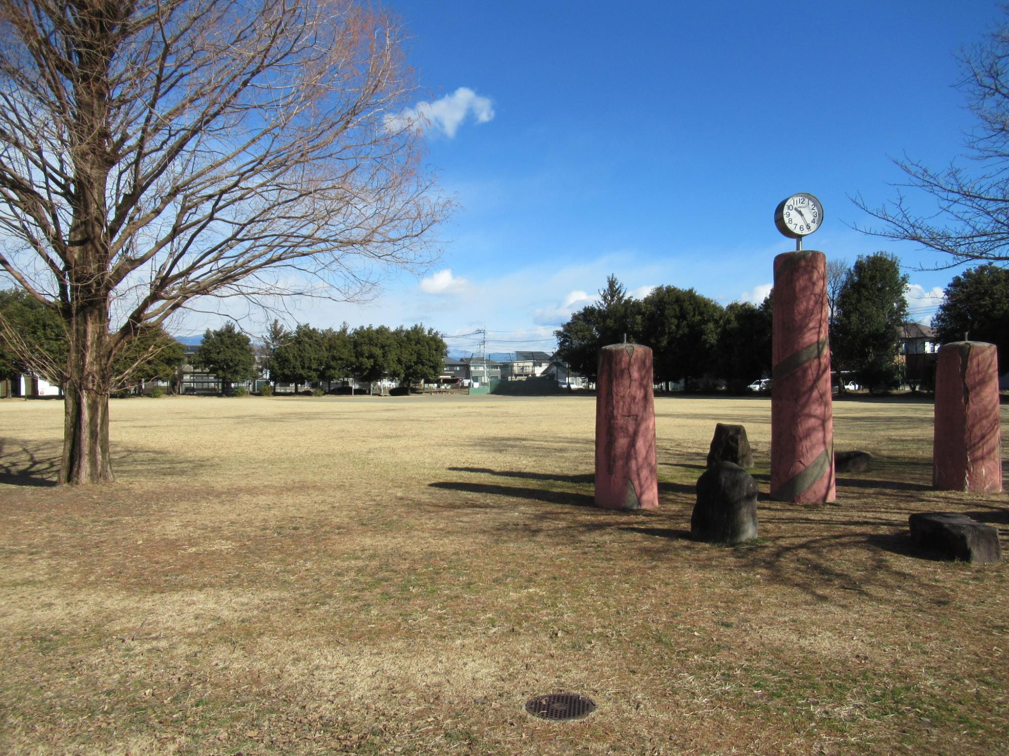 西部中央公園園内の様子