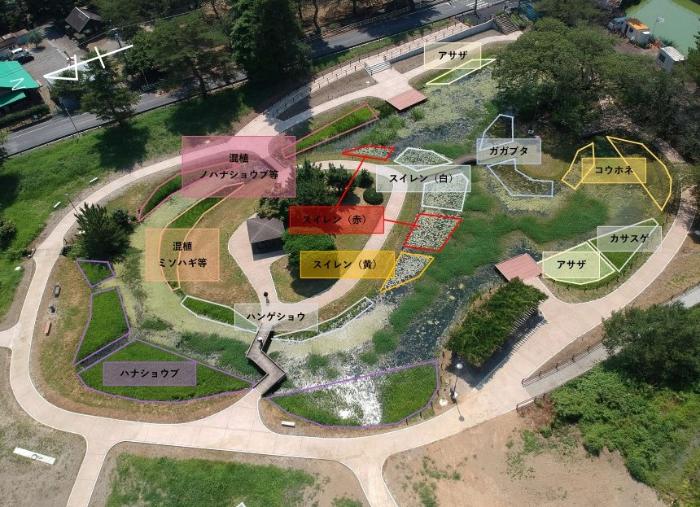 植栽の位置を表した図