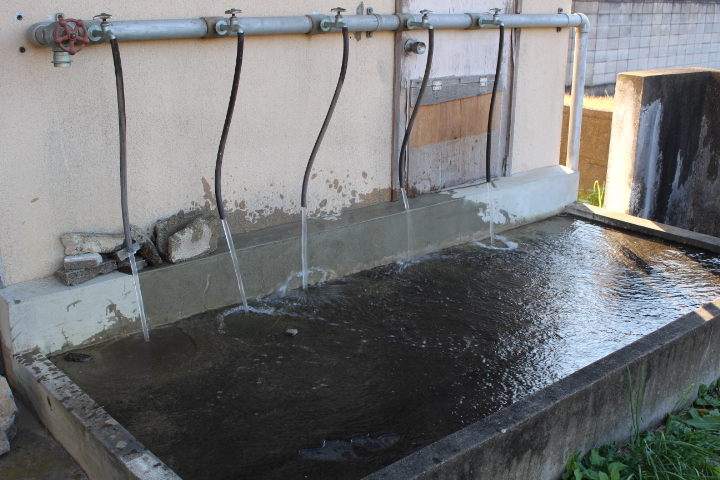 蛇口から水が出る様子