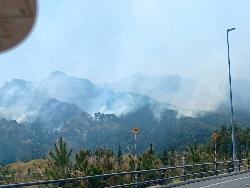 山林火災の様子