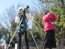 広瀬川にいる鳥を望遠鏡で覗いている子供の写真