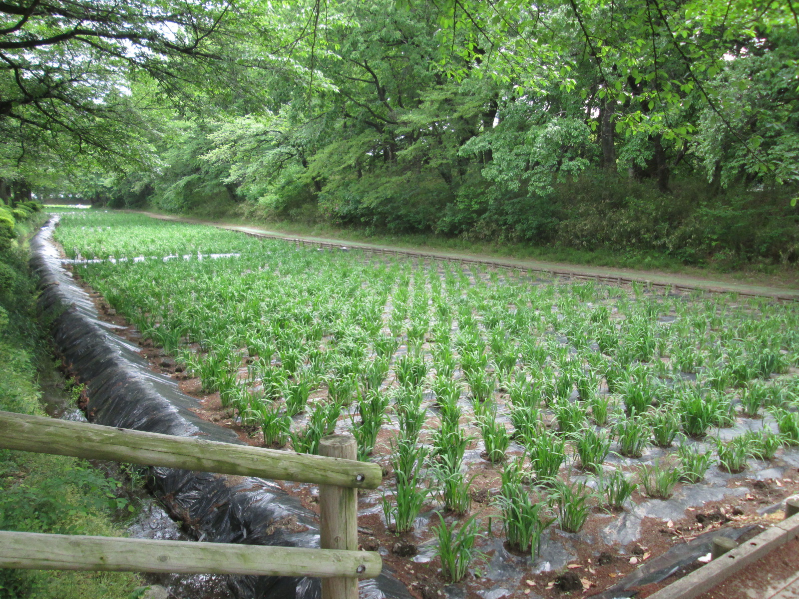 令和7年5月9日現在の画像