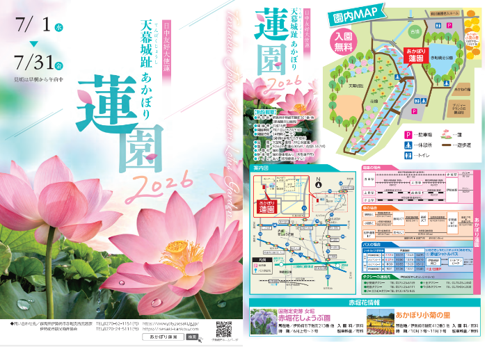 あかぼり蓮園チラシのサムネイル画像