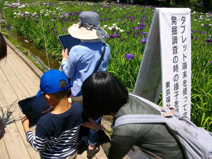 花しょうぶ園まつり開催中に、来場者がタブレット端末を使い、史跡女堀の発掘調査時の様子を観察している写真