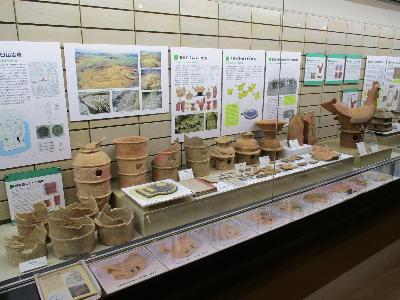 赤堀茶臼山古墳の埴輪の展示です