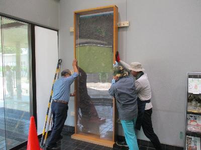 企画展「伊勢崎藩を救え！」の泥流剥ぎ取り資料の展示準備です。