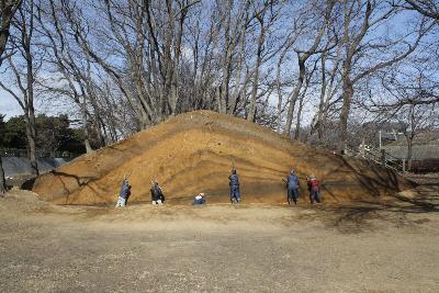 高さ数メートルにおよぶ女堀掘削排土断面